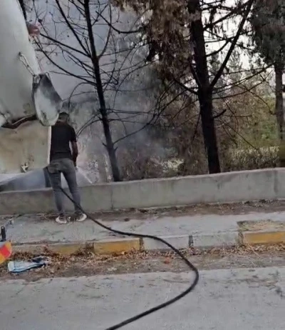 Mikser sürücüsü ağaçları yanmaktan kurtardı
