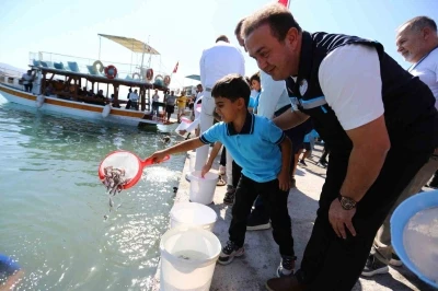 Milas Boğaziçi’ne 150 bin çipura ve 10 bin levrek yavrusu bırakıldı
