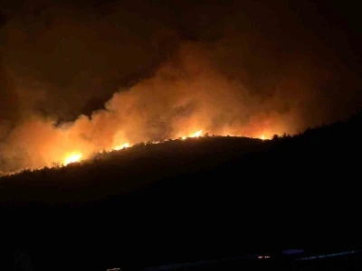 Milas&rsquo;ta alevler geceyi aydınlattı

