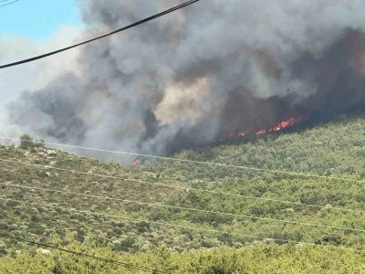 Milas&rsquo;ta orman yangını
