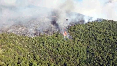 Milas yangınına havadan ve karadan m&uuml;dahale s&uuml;r&uuml;yor
