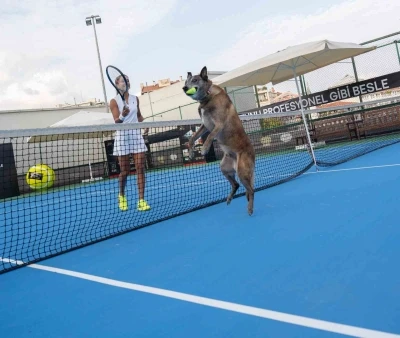 Milli Tenisçi Büyükakçay, patili dostu ile tenis oynadı
