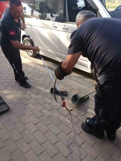 Minib&uuml;s&uuml;n motoruna giren yılan itfaiye ekiplerini harekete ge&ccedil;irdi
