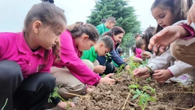 Minik elleriyle fideleri toprakla buluşturdular

