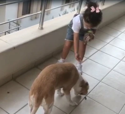 Minik Gökçe’den örnek davranış
