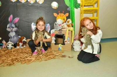 Minik kalplerden büyük destek: Esenyurtlu çocuklardan barınağa mama bağışı
