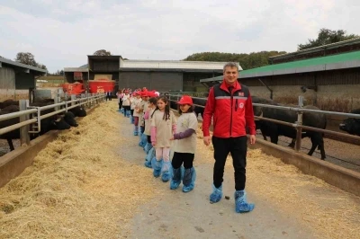 Minikler tarımı yerinde öğrendi
