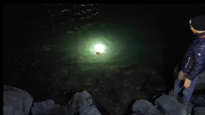 Misina ve ipe dolanan caretta carettanın yardımına vatandaşlar yetişti
