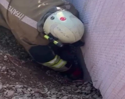Moloz yığını altında kalan yavru kedi kurtarıldı
