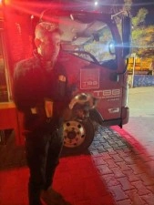 Motor kısmına sıkışan kedi i&ccedil;in seferber oldular