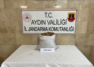 Motosikletli incir hırsızı jandarmadan kaçamadı
