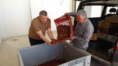 MTB Başkanı &Ouml;zcan: "Lisanslı depolar &uuml;reticinin g&uuml;vencesidir"
