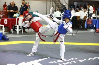 M&uuml;cahit Yancı Doğu Grubu Taekwondo Şampiyonası Sivas&rsquo;ta başladı
