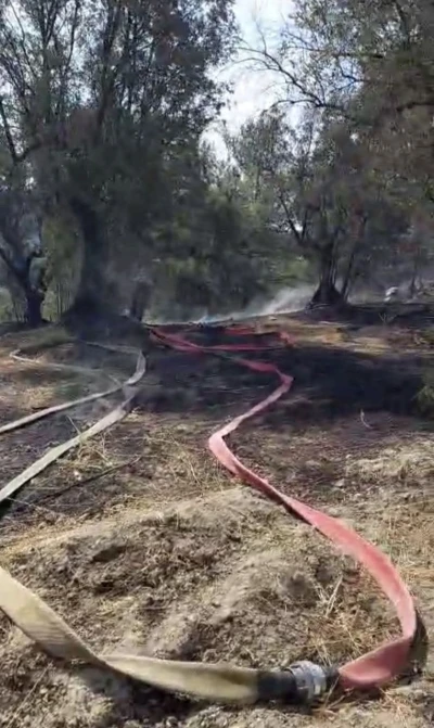 Mudanya’da korkutan yangın
