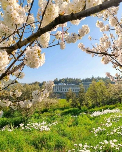 Mudanya &Uuml;niversitesi&rsquo;ne 6 yeni b&ouml;l&uuml;m daha
