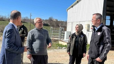 M&uuml;d&uuml;r Ayvalık, &uuml;reticilerle tarım ve hayvancılığı inceledi
