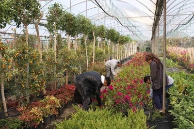 Muğla B&uuml;y&uuml;kşehir&rsquo;den yerel kalkınmaya katkı
