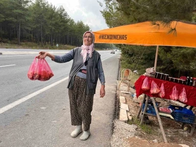 Muğla’da çıntarlar tezgahtaki yerini aldı
