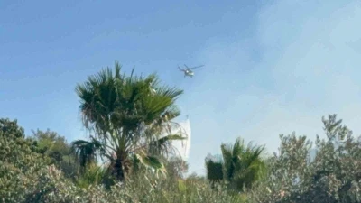 Muğla’da ekipler 3 bölgede alevlerle mücadele ediyor
