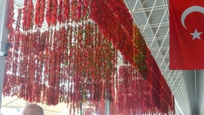 Muğla’da kurutmalıklar yurt dışına açıldı
