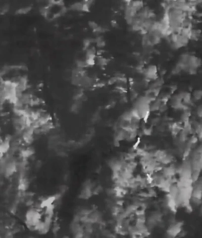 Muğla&rsquo;da yaban hayatına "dron" kalkanı
