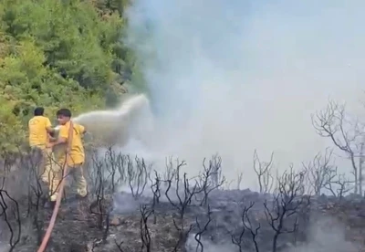 Muğla&rsquo;da yıldırım kaynaklı 2 orman yangını
