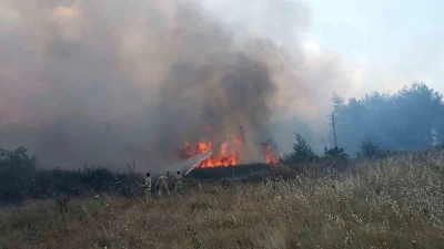 Muğla&rsquo;daki orman yangınında 1 kişi g&ouml;zaltına alındı
