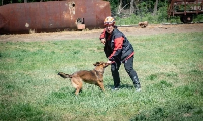 Muğla NAK Arama Kurtarma K&ouml;pekleri Macaristan&rsquo;da sahaya indi
