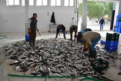 Muğla&rsquo;nın ihracatı Nisan ayında artış g&ouml;sterdi
