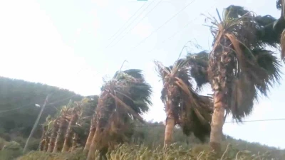 Muğla&rsquo;nın Kuzey b&ouml;l&uuml;mleri i&ccedil;in fırtına uyarısı
