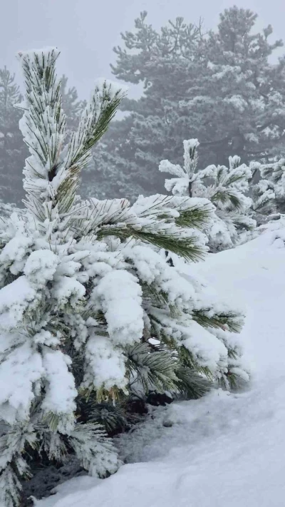Muğla’ya mevsimin ilk karı yağdı
