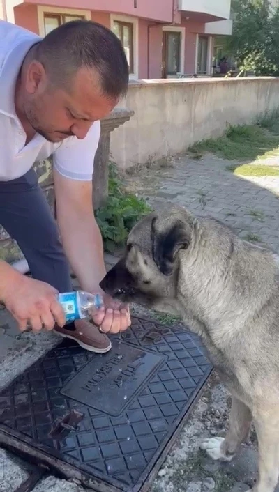 Muhtardan insanlık dersi
