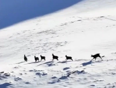 Munzur&rsquo;un beyaz zirvesinde şamualar g&ouml;r&uuml;nt&uuml;lendi
