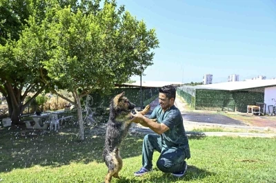 Muratpaşa&rsquo;dan patili dostlara serin dokunuş
