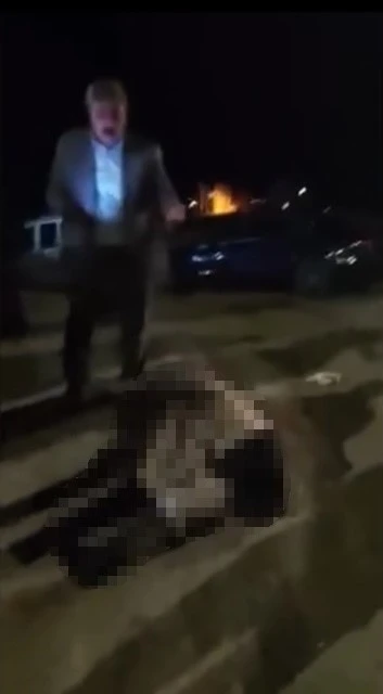 Muş-Bitlis yolunda otomobilin çarptığı yaşlı kadın hayatını kaybetti
