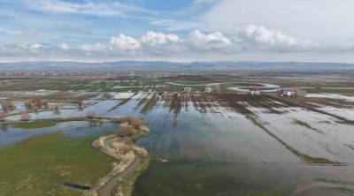 Muş Ovası&rsquo;nda kar erimesi ve sağanak tarım arazilerini sular altında bıraktı
