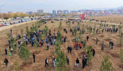 Muş’ta 20 bin fidan toprakla buluşturuldu
