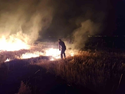 Muş’ta anız yangını korkuttu
