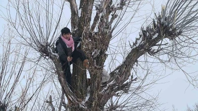 Muş&rsquo;ta besicilerden alternatif yem y&ouml;ntemi
