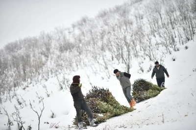 Muş&rsquo;ta besicilerin kızaklı zorlu kış mesaisi
