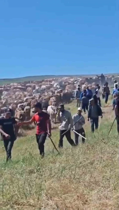 Muş&rsquo;ta iki k&ouml;y arasında &rsquo;arazi&rsquo; kavgası: 2 yaralı
