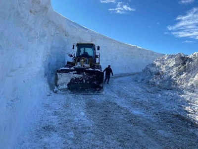 Muş&rsquo;ta kapanan t&uuml;m k&ouml;y yolları ulaşıma a&ccedil;ıldı
