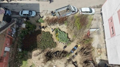 Muş&rsquo;ta meyve fidanları satışa &ccedil;ıkarıldı

