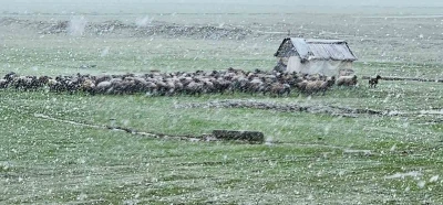 Muş&rsquo;ta nisan karı etkisini s&uuml;rd&uuml;r&uuml;yor: 22 k&ouml;y yolu ulaşıma kapandı
