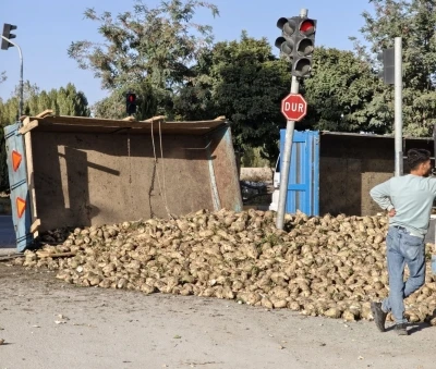 Muş’ta şeker pancarı yüklü traktör devrildi
