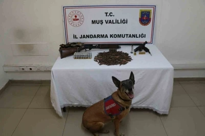 Muş’ta tezek yığınının altından silah ve mühimmat çıktı
