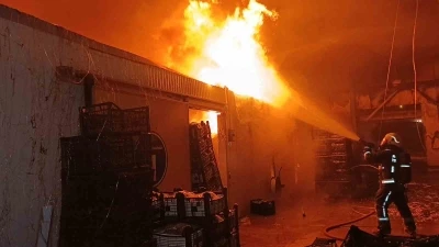 Muz paketleme tesisinde &ccedil;ıkan yangın korku dolu anlar yaşattı
