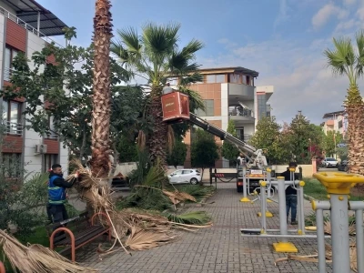 Nazilli Belediyesi’nden 12 mahallede eş zamanlı çalışma

