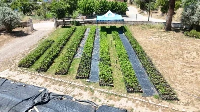 Nazilli Belediyesi &uuml;retiyor, k&ouml;ylere can oluyor
