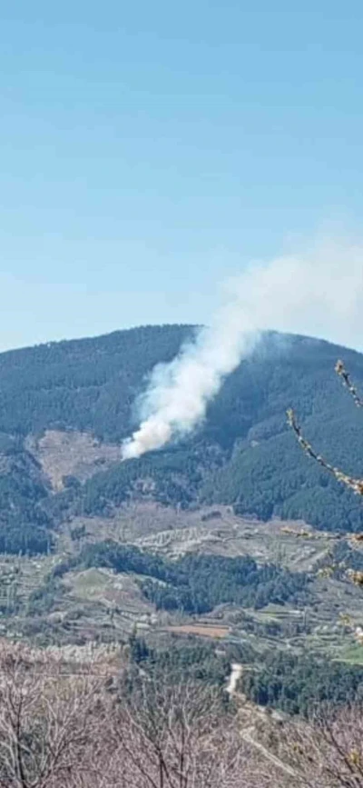 Nazilli&rsquo;de orman yangını
